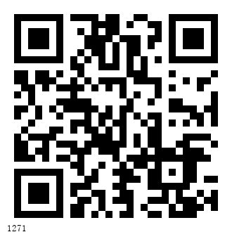 演示二维码